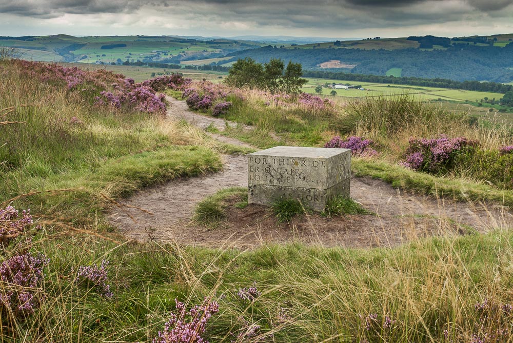Companion Stone Companion Stone